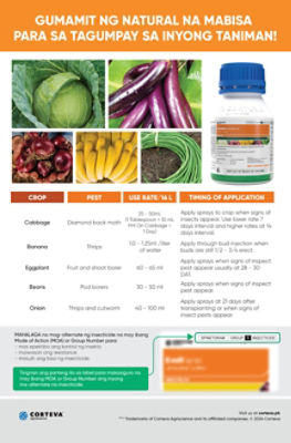 Success Timing of Application